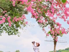 -东莞植物园