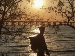 -宝安西湾红树林湿地公园