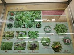 -北京中医药大学-中医药博物馆
