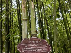 -个园