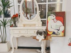 -共舞时光猫咖·狗咖(新街口店)