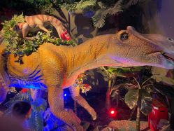 -恐龙探索乐园(磁器口店)