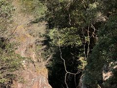 -花岩国家森林公园