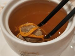 虫草花炖老鸭汤-喜来登由由大酒店九州膳坊中餐厅