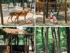 -南戴河国际娱乐中心