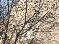 -北京凤凰岭