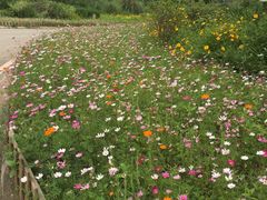 -白鹭湾湿地公园