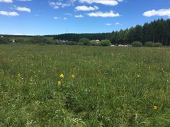 -塞罕坝国家级自然保护区