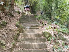 -缙云山景区