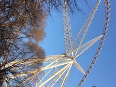 -哈尔滨文化公园