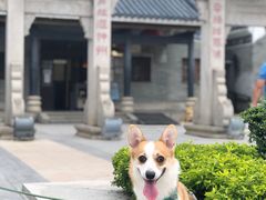 -黄埔古港