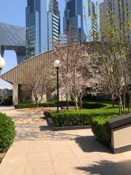 -北京嘉里大酒店·宴会厅婚宴·户外婚礼·生日宴