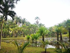 -中国科学院西双版纳热带植物园