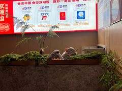 -双湖园·地标武汉菜(黄鹤楼解放路店)