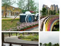 -府河摄影公园