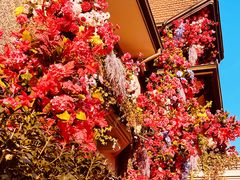 -思南公馆商业街