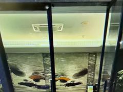 -珠海棕泉水疗酒店(拱北口岸高铁站店)