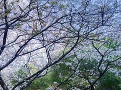 -浙江大学医学院附属第二医院(解放路院区)