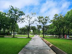 -新江湾城公园