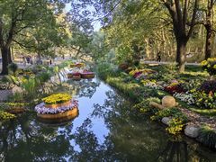 -上海共青森林公园