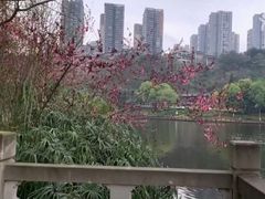 -重庆彩云湖湿地公园