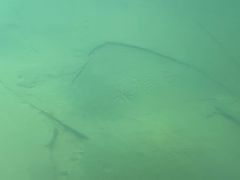 -白鹤梁水下博物馆