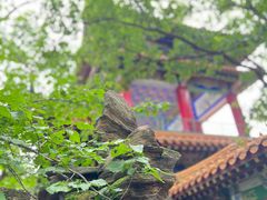 -萨尔浒风景区