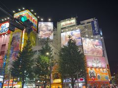 -秋叶原电器街