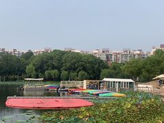 -新江湾城公园