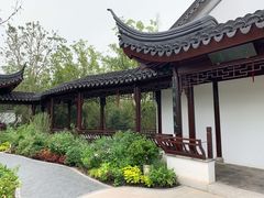 -东平国家森林公园