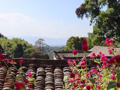 -杨家堂村