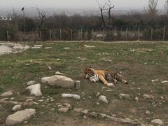 -西安秦岭野生动物园