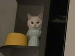 -梅飞酒家(名辉豪庭店)