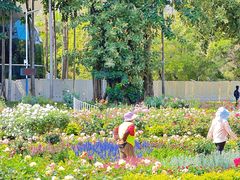 -人民公园(罗湖区)