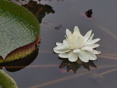 -迎泽公园
