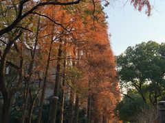 -苏州大学(天赐庄校区)