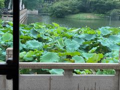 -杭州西子湖四季酒店·金沙厅