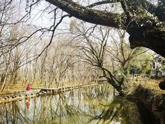 -西溪南古村落