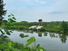 -东郊湿地公园