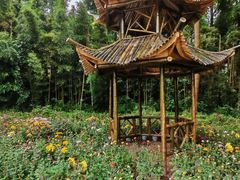 -富乐山
