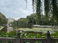 -文瀛公园