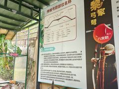 -海南槟榔谷黎苗文化旅游区