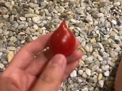 -安贞汤泉(安贞桥店)