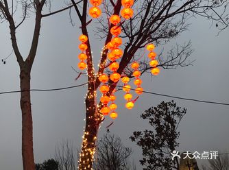 妈妈提议和姥姥一起逛开封