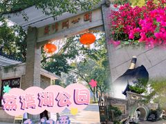 -荔湾湖公园