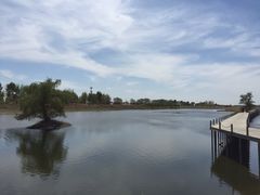 -蒲河岛湿地公园