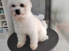 -佳雯宠物医院(四明中路分院)