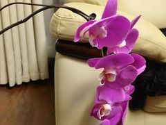 -正一涵老味道名小吃(广汉总店)