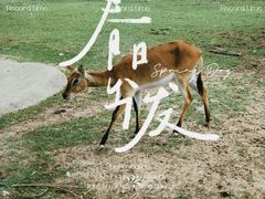 -西安秦岭野生动物园
