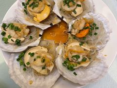 扇贝-华盛丰温州大排档(东三环南路店)